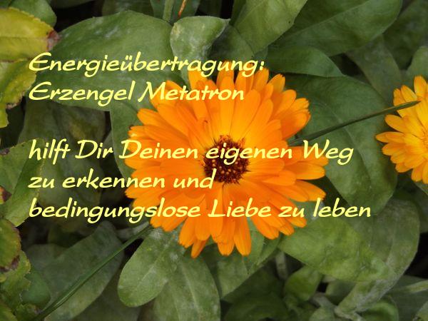 Blüten